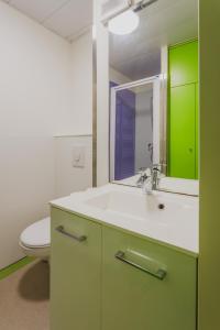 a bathroom with a sink and a mirror and a toilet at L HELIOS Centre ville 1 chambre in Cauterets