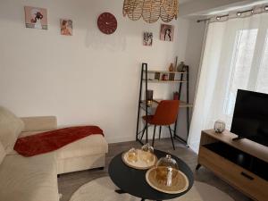 Boulieu-lès-AnnonayAppartement cosy et lumineux的客厅里有一张沙发和一台电视