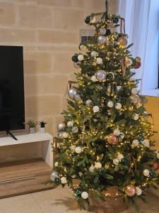 TV/trung tâm giải trí tại Charming Historic Home with Rooftop Views