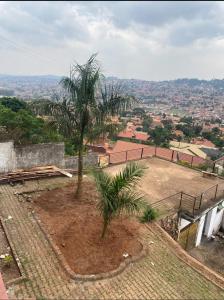 eine Palme auf einem Gebäude in der Unterkunft White House -Two palms in Kampala