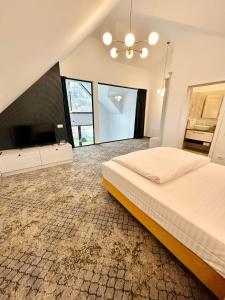 布朗JAD Emirage Luxury Villa Infinity Pool and Spa的一间大卧室,配有一张床和一台电视