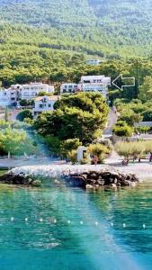 Příroda nedaleko apartmánu