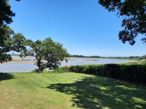 a view of a river with a tree in the foreground at River View - Stunning estuary views in Aldeburgh