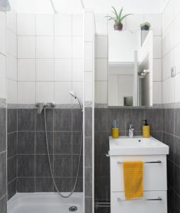 a bathroom with a shower and a sink and a mirror at Studio Cosy - Manoir Securisé - Avon in Avon +14 photos