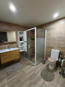 查内勒斯梅肯Appartement charmant à Charnay-lès-Mâcon avec jardin的浴室里有马桶、淋浴和洗手池。 更多21张照片