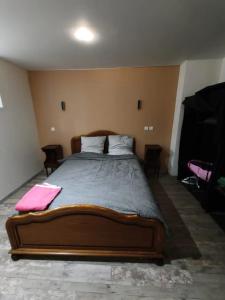 查内勒斯梅肯Appartement charmant à Charnay-lès-Mâcon avec jardin的房间里有一张大床的卧室