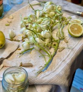 Φαγητό σε αυτό το διαμέρισμα ή κάπου εκεί κοντά