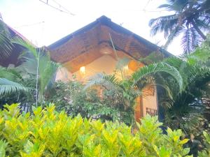 曼德姆CASA de SAZU的前面有一堆植物的建筑