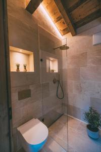 een badkamer met toilet en glazen douche bij Residence Alpi - Private Spa & Living in Grainau