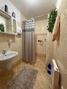 Koupelna v ubytování Chata Salvius + 31 fotografií