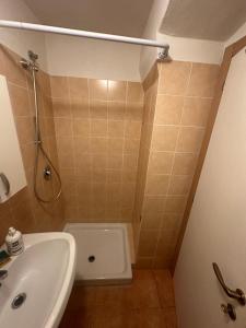 ein kleines Badezimmer mit Dusche und Waschbecken in der Unterkunft Saint Anthony in Eggi