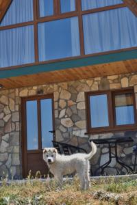 Fotografie z fotogalerie ubytování Village house Gutovic v destinaci Rudinice