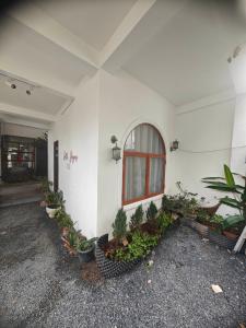a white building with a window and a bunch of plants at Mai Anh Garden in Soc Trang