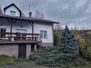 a house with a christmas tree in front of it at Szczyt Wszystkiego in Szczyrk