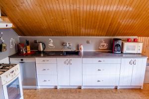 Η κουζίνα ή μικρή κουζίνα στο Apartmán Otília