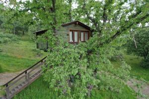 Un jardín fuera de Cabañas en los Árboles de Extremadura 11 fotos más