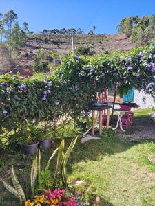 Un jardín fuera de Recanto Duas Rosas