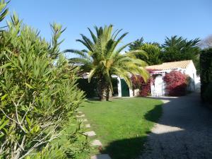 En have udenfor Le Repos Marin