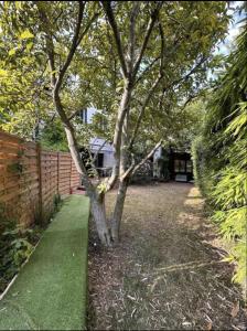 drzewo na podwórku obok płotu w obiekcie Chambre avec salle de bain et terrasse dans un maison chaleureuse w mieście Nanterre