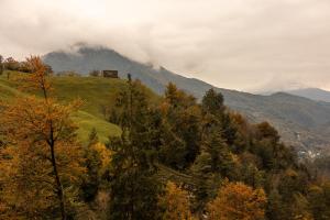 Φυσικό τοπίο κοντά σε οργανωμένο κάμπινγκ