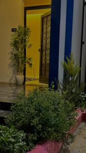 Κήπος έξω από το Apple Plus Resort