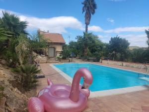 Πισίνα στο ή κοντά στο CasaleRusso