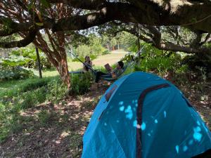 un grupo de personas en hamacas bajo un árbol en Muelle del Tiempo Camping, en Quilán