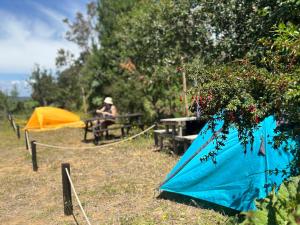 una persona sentada en una mesa de picnic junto a una tienda de campaña en Muelle del Tiempo Camping, en Quilán 1 foto más