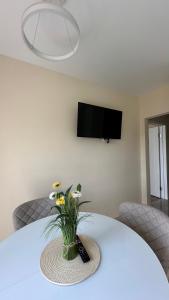 Μια τηλεόραση ή/και κέντρο ψυχαγωγίας στο Great House АВТОвокзал