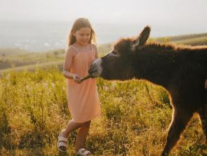Fotografie z fotogalerie ubytování Pik Talgar Eco Village v destinaci Talghar