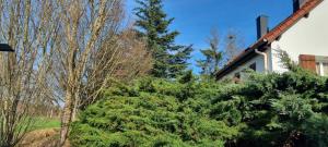 Villers-Robertchambre dans villa的房屋前的一群树木