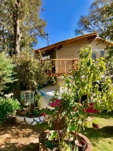 a house with a bunch of plants in front of it at Cabaña de descanso en Tlazala in Cedro