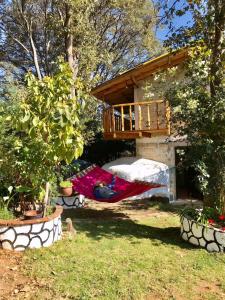 a person sleeping in a hammock in a garden at Cabaña de descanso en Tlazala in Cedro