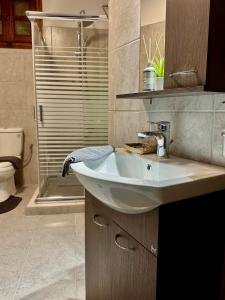 a bathroom with a sink and a shower at Pindus Nest in Metsovo