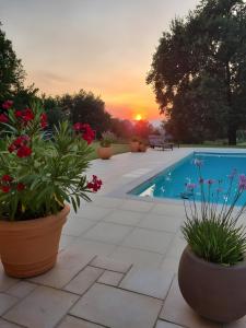 einen Hinterhof mit einem Pool und zwei Topfpflanzen in der Unterkunft Chambre D'hôtes - Les Hirondelles in Mirabel-aux-Baronnies