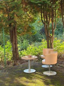 Zahrada ubytování Wald Hotel