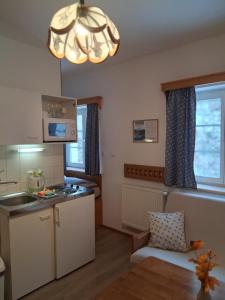 Nhà bếp/bếp nhỏ tại Penzion Zákoutí Deštné v Orlických horách