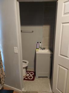 a bathroom with a toilet and a sink at Grove 3- King Bed with Private Bathroom in Irvington