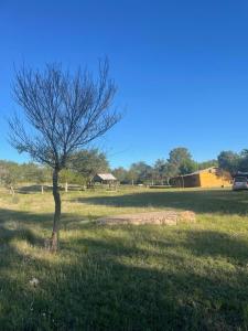 Naturlandskabet i nærheden af lejligheden