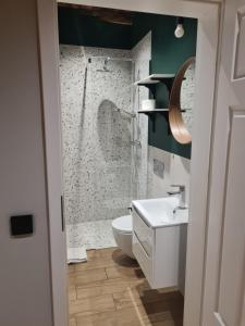 ein Badezimmer mit Dusche, Toilette und Waschbecken in der Unterkunft Piernikowy Strumyk in Toruń