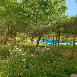 En have udenfor Casa de campo Luisa + 13 billeder