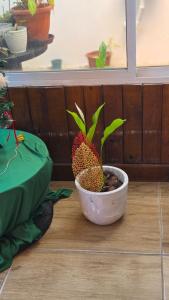 Gallery image of Refúgio Vida & Brisa in Pelotas +2 photos