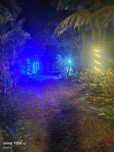 uma vista nocturna de uma casa com uma luz em Shraddha Cottage em Nagaon