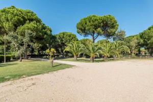 a park with palm trees and a dirt road at 188 - Quinta da Sobreda in Benavente