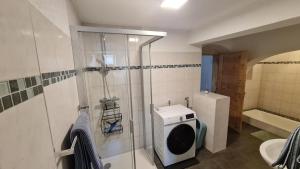 a bathroom with a shower and a washing machine at Ferienwohnung Hugos Altstadt in Pirna +4 photos