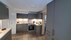 a kitchen with gray cabinets and a sink at Ferienwohnung Hugos Altstadt in Pirna