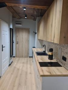 eine Küche mit Spüle und Arbeitsplatte in der Unterkunft Piernikowy Strumyk in Toruń