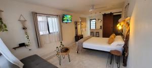 梅里达Pakáal Muliix - Limóm的一间卧室,墙上有一张床和一台电视