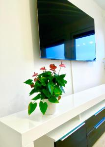 Et tv og/eller underholdning på Traumhaftes Apartment mit Dachterrasse und Schlossblick + 12 billeder