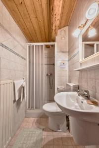 阿戈尔多Chalet Dolomiti 3 Bedrooms Parking 40 min from Cortina的带水槽、马桶和淋浴的浴室